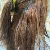 画像1285