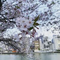 画像1391
