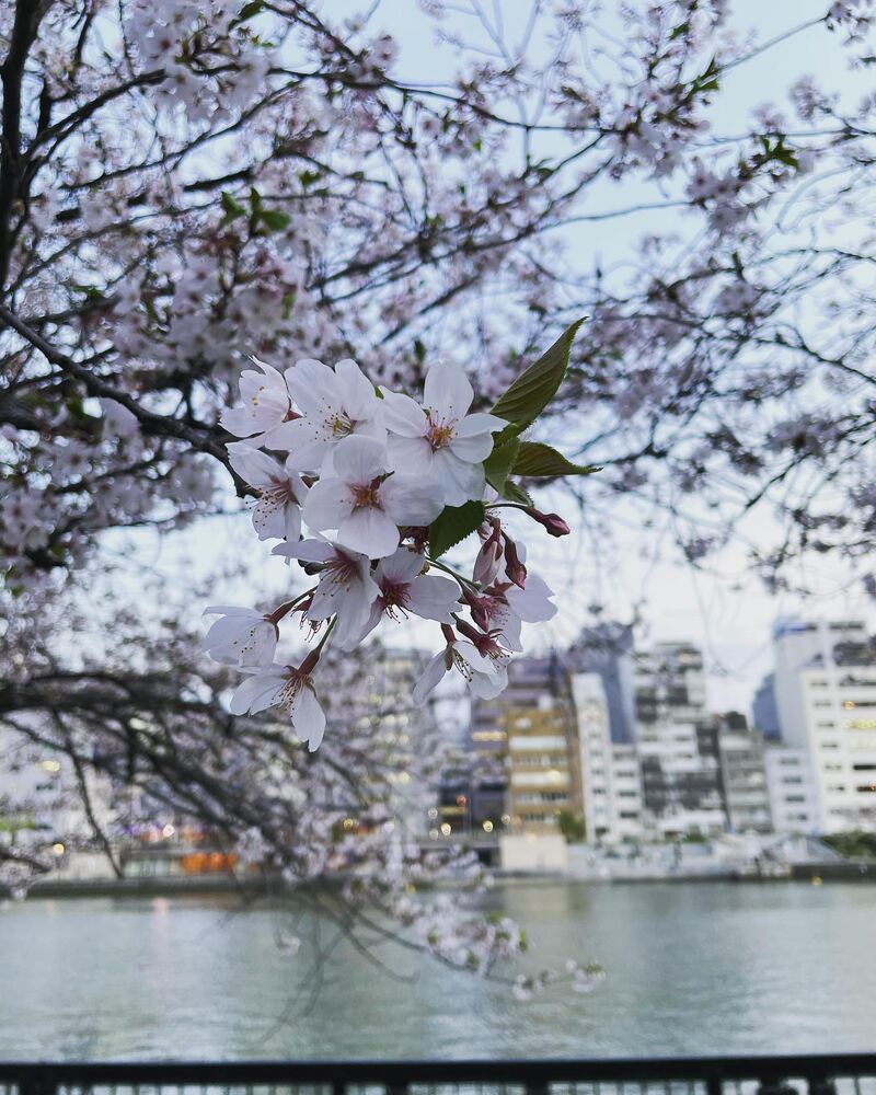 画像1391