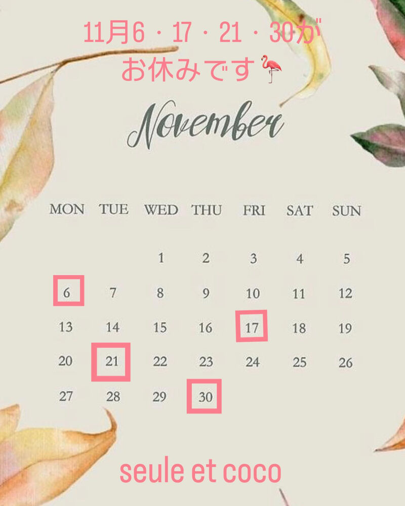 画像1515
